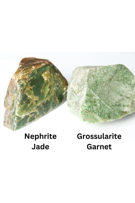 Check out this video on how to identify rough jade! #jade #nephrite #nephritejade #garnet #jaderough #jadesimulants Nephrite Jade, Jade Jewelry, Natural Jade, Catfish, Earrings Rings, Rings Necklaces, Garnet, Jade, Fine Jewelry