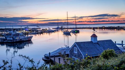 36 hours on Martha’s Vineyard Vineyard Tattoo, Green Front Doors, Oak Bluffs, Martha’s Vineyard, New England Travel, Labor Day Weekend, Wildlife Sanctuary, Martha's Vineyard, Marthas Vineyard