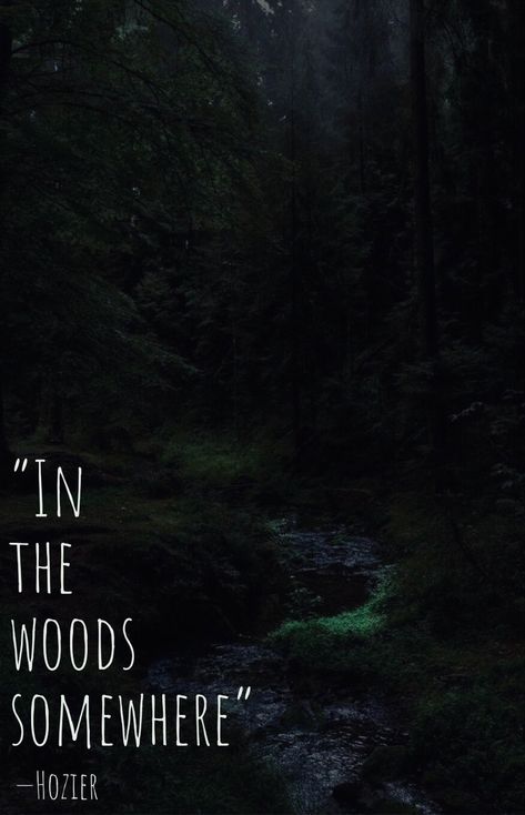 Hozier In The Woods Somewhere, In The Woods Somewhere Hozier, Black Wolf Dog, The Woods Quotes, Scary Woods, Forest Cabins, In The Woods Somewhere, Forest Quotes, Into The Woods Quotes