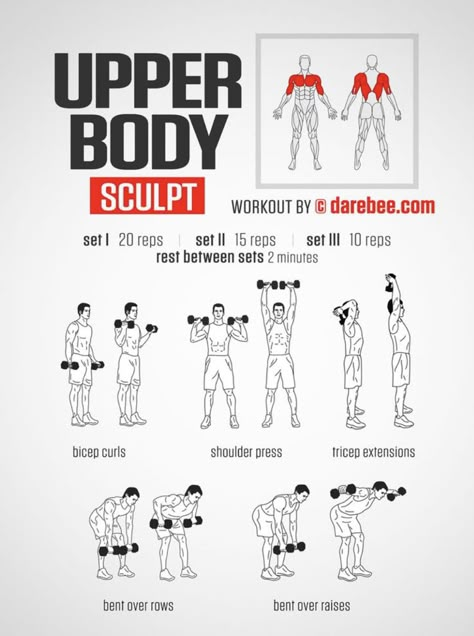 Chest And Arm Workout, Arm Workout Men, Arm Workout For Beginners, Pilates Workout Plan, Latihan Dada, Dumbell Workout, Workout Routine For Men, Pilates Training, Abs Workout Routines