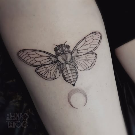 Cicadas Tattoo, Simple Cicada Tattoo, Cicada Tattoo Design, Cicada Tattoo, Insect Tattoos, Change Art, Father Tattoos, M Tattoos, Insect Tattoo