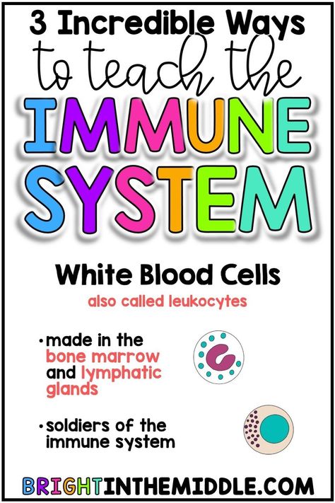 Check out this blog post to learn three incredible ideas to teach your middle school science students about the immune system! #6thgrade #7thgrade #8thgrade Health Science Classroom, Resources Bulletin Board, Immune System Activities, Science Classroom Ideas, Middle School Health, Middle School Science Classroom, Tea Burn, Health Class, Doctor Advice