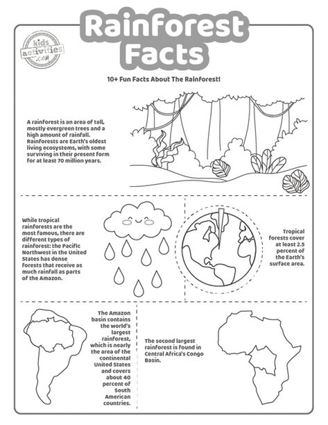 Rainforest Activities 2nd Grade, Rainforest Facts For Kids, Rainforest Facts, Brazil Facts, Rainforest Activities, Butterfly Facts, Dolphin Facts, Forest Coloring Pages, Plants Worksheets