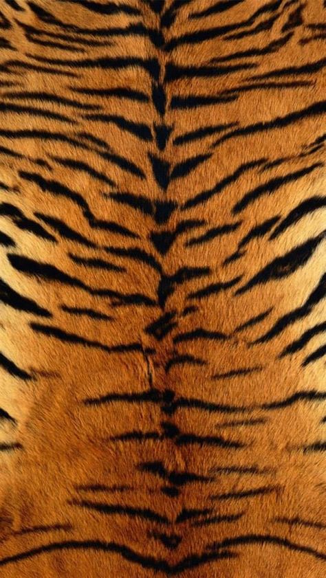 Tiger Fur, Tiger Wallpaper, Tiger Skin, Desktop Wallpaper Pattern, Orange Wallpaper, Backdrops Backgrounds, Homescreen Wallpaper, Print Wallpaper, Paint Shop