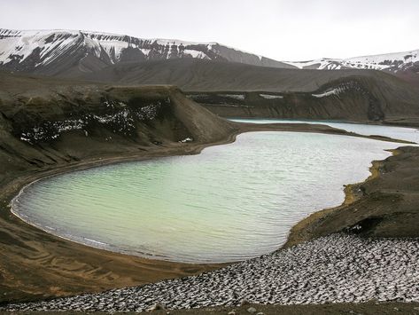 20 Photos That Will Make You Want to Visit Antarctica - Condé Nast Traveler Fly Geyser, Deception Island, Goblin Valley State Park, Drake Passage, Goblin Valley, Cat Island, 99 Percent, Shetland Islands, The Catacombs