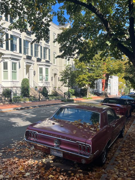 fall vibes autumn aesthetic washington dc gilmore girls old car old red car cute neighborhood Washington Dc Autumn, Suburban Neighborhood Aesthetic, Dc Aesthetics Washington Dc, Aesthetic Washington Dc, Old Red Car, Washington Dc Aesthetic, Cute Neighborhood, Dc Lifestyle, Washington Dc Neighborhoods