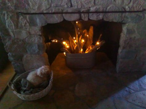 Decorate Inside Your Unused Fireplace Unused Fireplace Ideas, Fireplace Lights, Inside Fireplace, Fireplace For Christmas, Empty Fireplace Ideas, Empty Fireplace, Unused Fireplace, Fake Fireplace, Fireplace Decorations