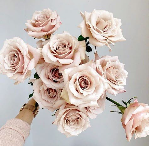 Antique Rose Bouquet, Quicksand Rose, Flower Library, Beige Flowers, Floral Creations, Flower Types, Blush Flowers, Flower Inspiration, Floral Inspiration