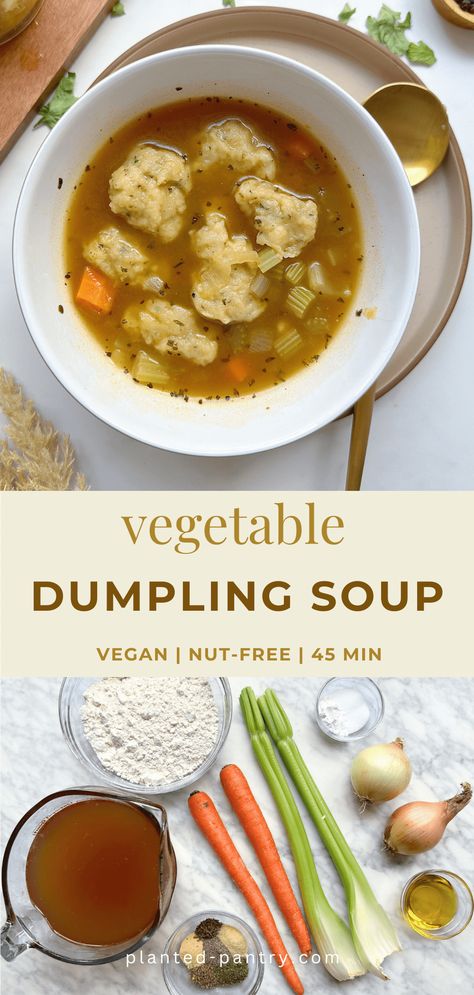 Vegan Dumpling Soup Vegan Dumpling Soup, Vegetable Dumpling Soup, Vegetarian Dumpling, Easy Vegan Soup, Vegan Pot Pies, Vegan Dumplings, Vegetable Dumplings, Dumpling Soup, Refined Sugar Free Recipes