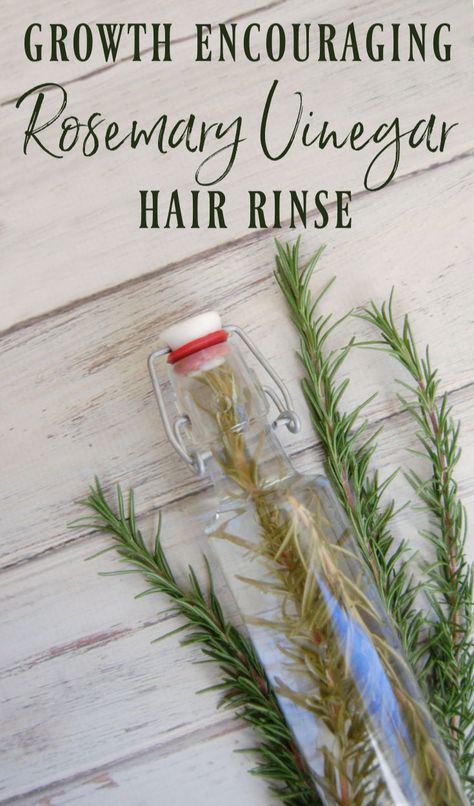 Rosemary Vinegar, Hair Rinse Recipe, Rosemary For Hair, Vinegar For Hair, Vinegar Hair Rinse, Rosemary Hair, Herbal Skin Care, Diy Shampoo, How To Dry Rosemary