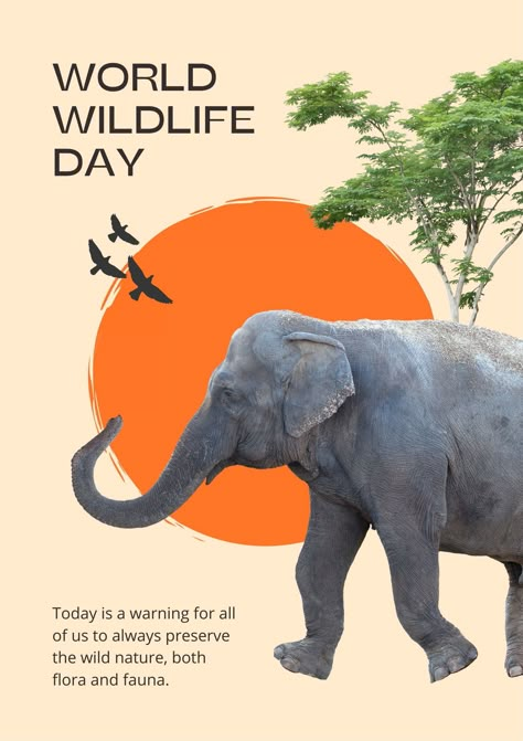 World Elephant Day Poster, Wildlife Poster Design, Safari Poster Design, Animal Welfare Poster, Zoo Advertising, Wildlife Day Poster, Wildlife Infographic, Zoo Poster Design, Instagram Cutout