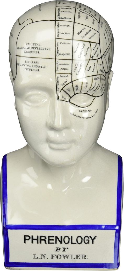 Amazon.com: Design Toscano SP020 Full Size Phrenology Head Bust Fortune Telling Statue, 12 Inch, Porcelain, White : Home & Kitchen Phrenology Head, Head Bust, Design Toscano, White Home, Fortune Telling, Porcelain, Decor Ideas, Statue, White