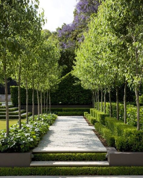 Pinterest garden love  Rebecca #hedges #boxwood #beautiful #gardens #pinterest Formal Garden Design, Garden Hedges, Pinterest Garden, Australian Garden, Formal Garden, Modern Garden Design, Formal Gardens, Front Yard Garden, French Garden