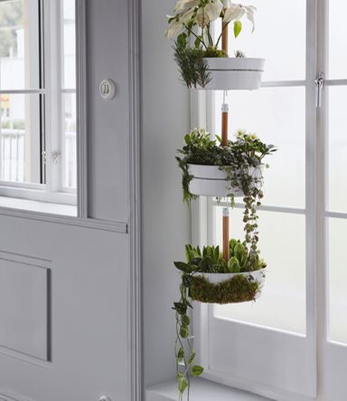 Diy hanging planter