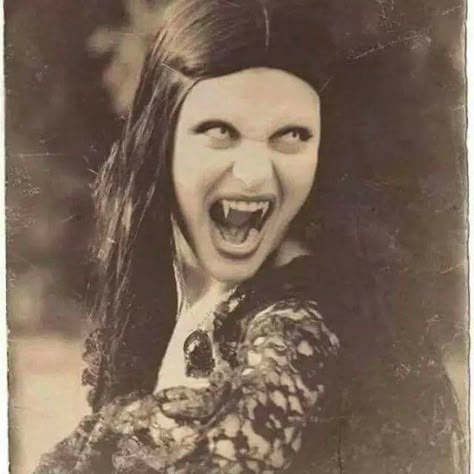 Vintage Vampire Vampire Pictures, Hot Vampires, Female Vampire, Magic Books, Vampire Aesthetic, Occult Books, Vampire Books, Vampires And Werewolves, Vampire Girls