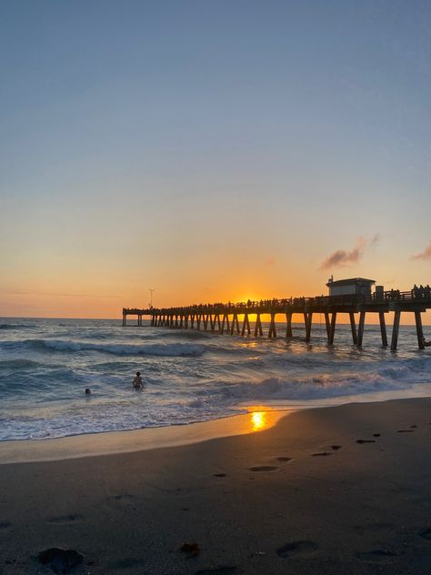 Venice Beach Sunset, Coastal Life, Venice Beach, Beach Sunset, Five Star, Venice, Collage, Pins