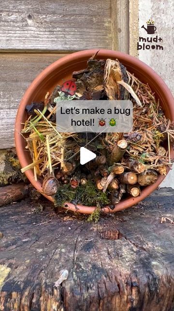 Mud & Bloom on Instagram: "🐞 Make a simple bug hotel! 🐌  Bugs and insects are really important for the plants, soil and animals all around us. They help plants to reproduce, keep our soil healthy and provide food for birds and animals. Insects need to find somewhere out of the rain and cold to spend the autumn and winter. A bug hotel is perfect - insects will love crawling in and finding a tiny corner to snuggle up in!  This bug hotel is really simple to make: you just need a container such as an old plant pot and you can collect the rest of the materials on an autumn’s walk 🍁   We’ve written a blog post with instructions on how to make a bug hotel which you can link to from our profile 👆   #bughotel #insecthotel #wildlifegarden #mudandbloom" Bugs Hotel Ideas, Homemade Bug Hotel, Bug Hotel Diy Kids, Bug Hotel Ideas, Diy Bug Hotel, Bugs Hotel, Bug Houses, Bee Hotels, Summer Holiday Activities