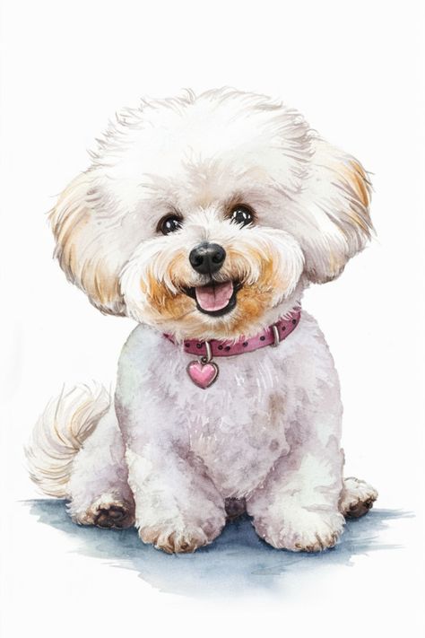 An illustration of a cute white small dog in watercolor. Bichon Frise Drawing, Watercolour Dogs, Bichon Frise Art, Poodle Drawing, Dog Drawing Tutorial, Bichon Poodle, Cute Dog Art, Simple Cat Drawing, Bichon Frise Puppy