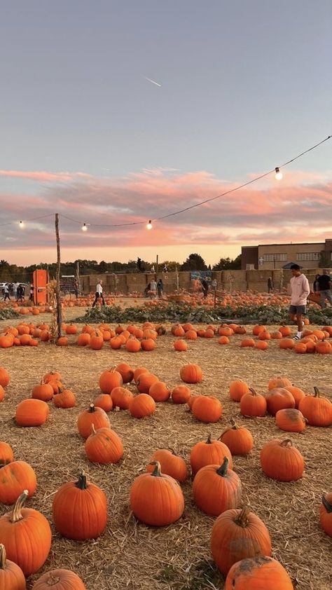 Fall Boards, Fall Mood Board, Fall Background, Fall Inspo, Autumn Scenery, Fall Pictures, Best Seasons, Jolie Photo, Fall Aesthetic