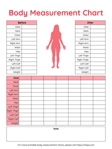 Free Body Measurement Chart Printable, Plus Size Measurement Chart, Female Measurement Chart, Free Printable Body Measurement Chart, Body Chart Female, Body Measurement Chart Women, Measurements Chart For Women, Body Measurements Chart Printable, Body Size Chart