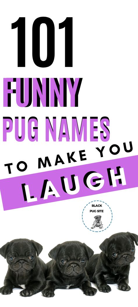 This list of dog name ideas contains hilarious girl and boy names that are not only funny, but very cute. Funny Puppy Names, Funny Dog Names Boy, Girl Pug Names, Funny Names For Dogs, Funny Boy Names, Cool Dog Names Boys, Clever Dog Names, Dog Hacks Diy, Funny Pet Names