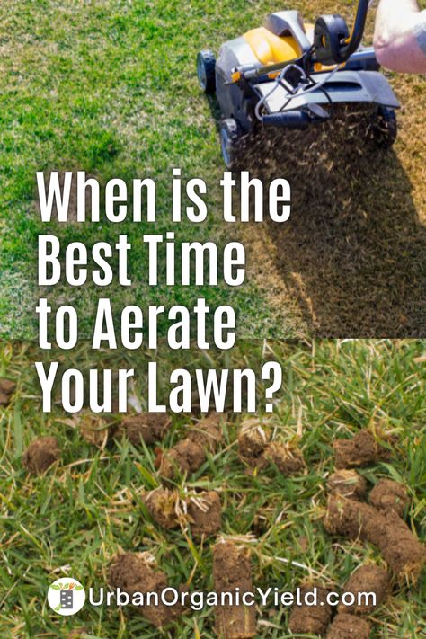 How To Aerate Your Lawn Diy, Aerator Diy Lawn, Diy Aerator Lawn, Aerate Lawn Diy, Lawn Aireator, Diy Lawn Aerator, Reseeding Lawn, Lawn Aerators, Lawn Care Diy