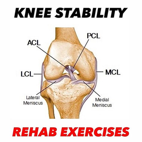 Medial Meniscus, Knee Sprain, Knee Anatomy, Knee Ligament Injury, Joints Anatomy, Knee Ligaments, Knee Strengthening, Knee Pain Exercises, Ligament Injury