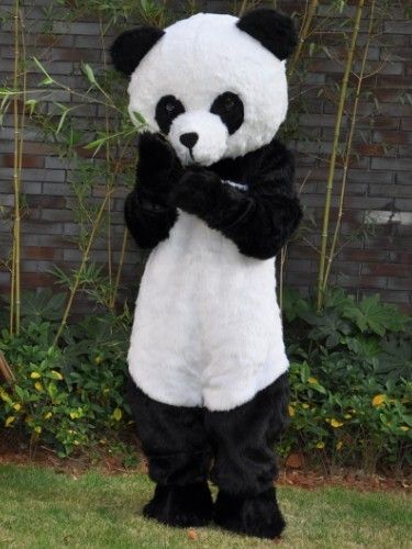 Panda Costume, Panda Costumes, Childrens Party, Panda Bear, Mascot Costumes, Profile Picture, Halloween Costumes, Disney, Animals