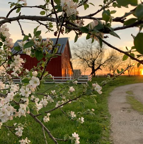 Farm Aesthetic, Future Farms, Farm Lifestyle, Dream Farm, Country Lifestyle, Farms Living, Ranch Life, Anne With An E, Anne Of Green