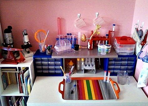 I'm not new to keeping a seasonal nature table in a corner of our home Kids Science Lab, Science Bedroom, Science Table, Science Room, Science Stations, Science Themes, Science Lab, Learning Spaces, Space Science