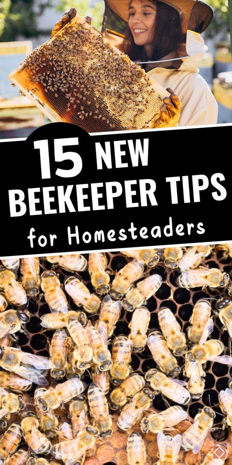 Bee-ready with these 15 beekeeping tips for beginners on the homestead! This guide covers all the basics, from choosing the right hive location to managing bee health and harvesting honey. Great for new beekeepers, these tips make it easy to set up and care for a productive hive. Save this pin to learn about backyard beekeeping and keep your bees happy and healthy all season. Diy Bee Keeping, Small Bee Hive, Raising Honey Bees Beekeeping, How To Raise Bees For Honey, Bee Keeping For Beginners Backyards, Bee Hive Stands Diy, Raising Bees For Beginners, Beekeeping Aesthetic, Bee Keeping For Beginners