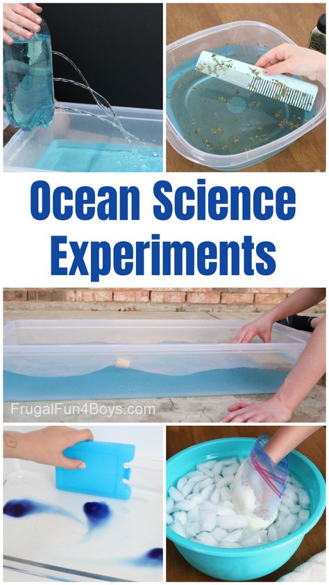 Amazing Ocean Science Experiments - Frugal Fun For Boys and Girls Ocean Science Experiments, Ocean Science Activities, Ocean Activities Preschool, Ocean Lesson Plans, Water Science Experiments, Ocean Theme Preschool, Ocean Habitat, Ocean Classroom, Animal Experiments