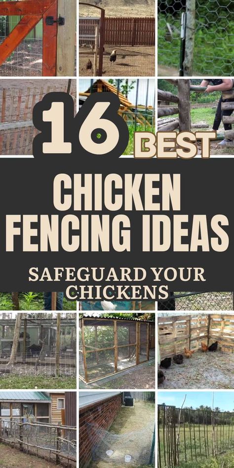 Chicken Gate Ideas, Chicken Coop Enclosure Ideas, Chicken Fencing Ideas Diy, Diy Chicken Enclosure, Fencing For Chickens, Chicken Yard Fence, Chicken Enclosure Ideas Diy, Chicken Pens Ideas Fence, Chicken Fence Ideas Diy