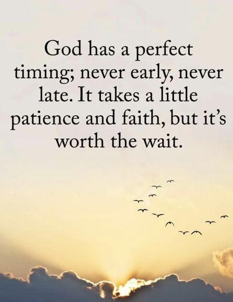 God's promises may be delayed, but not denied. In Gods Perfect Time Wallpaper, In Gods Perfect Time, Gods Perfect Time, Gods Promises Quotes, Promise Quotes, Time Wallpaper, Passion Quotes, Happy Thanksgiving Quotes, About God