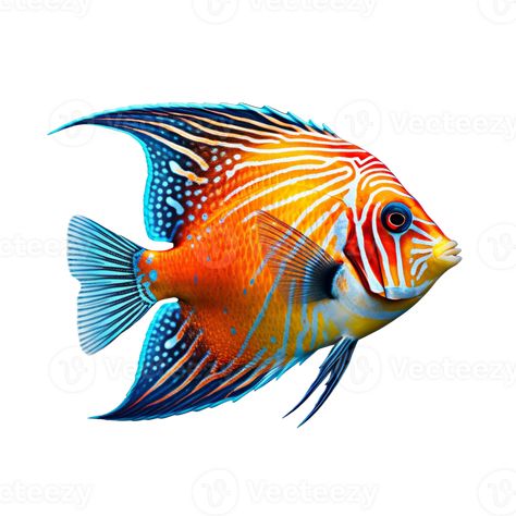 Tropical fish isolated on transparent background, created with generative AI Colorful Drawing Reference, Coral Reef Fish Photography, Colourful Fish Painting, Tropical Fish Drawing Simple, Colorful Ocean Fish, Colorful Fish Art, Pretty Fish Ocean, Tropical Fish Illustration, Tropical Fish Painting