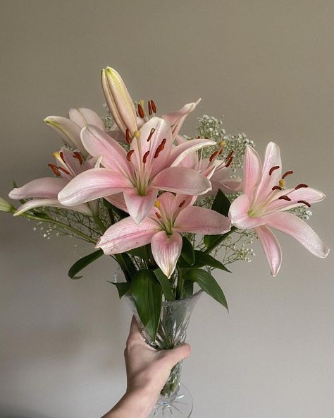 Buy Yourself Flowers, Pink Lilies, Boquette Flowers, Nothing But Flowers, Flower Therapy, Beautiful Bouquet Of Flowers, Random Pictures, Pretty Plants, Beautiful Flowers Pictures