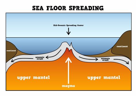 Sea Floor Spreading Activity, Seafloor Spreading Theory, Third Grade Science Worksheets, Layers Of Soil, Seafloor Spreading, Worksheets For 3rd Grade, Graduated Cylinder, Science Earth, Soil Types