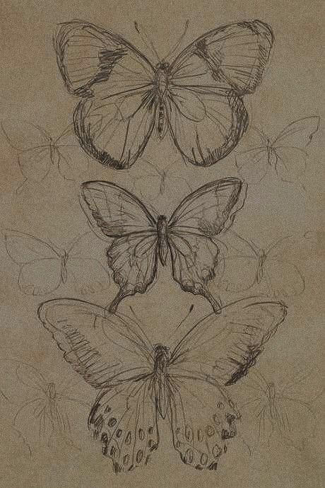 Victorian Doodles, Butterfly Drawing Reference, Dark Academia Sketchbook, Victorian Era Drawing, Dark Academia Drawings, Dark Academia Drawing Ideas, Dark Academia Sketch, Dark Academia Doodles, Dark Academia Drawing