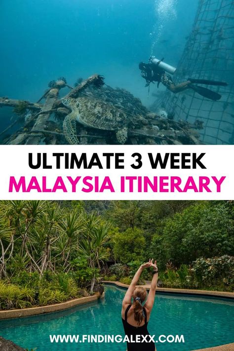 Discover the ultimate 3-week Malaysia itinerary that takes you through vibrant cities, lush rainforests, and stunning beaches. Experience the rich culture, delicious cuisine, and breathtaking landscapes of Malaysia with detailed travel tips and must-see attractions. Perfect for travelers seeking a diverse adventure in Southeast Asia. Malaysia Itinerary, Malaysia Travel Guide, Malaysia Truly Asia, Malaysia Travel, Asia Travel, Travel Itinerary, Southeast Asia, 3 Weeks, Travel Guide