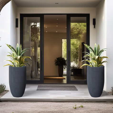 Florida Planters Front Porches, Front Planters Landscaping, Plants For House Entrance, Large Pots In Front Of House, Pots In Front Of House, Indoor Patio Decorating Ideas, Entrance Plants Outdoor, Front Porch Potted Plant Ideas, Large Potted Plants Outdoor