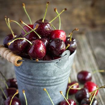 B Grape Orchard, Fruit Tree Orchard, Black Cherry Tree, Tree Orchard, Montmorency Cherry, Farm Fruit, Rainier Cherries, Grape Growing, Bing Cherries