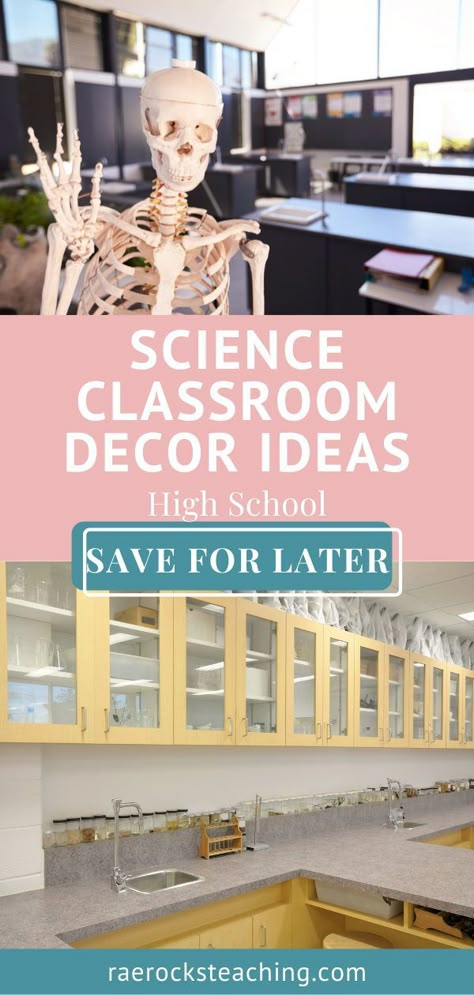 Middle School Science Room Decor Classroom Ideas, Decorate Science Classroom, Biology Classroom Decorations Ideas, High School Classroom Science, Science Displays Secondary, Science Lab Setup, Science Murals Classroom, Decorating Science Classroom, High School Science Room Decor Classroom Ideas