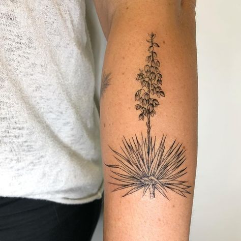 Dre Li on Instagram: “Teenie yucca addition for @merebear.withthe.goodhair Done @thirdeyegallery #yuccavalley #yuccatattoo #desertdweller #deserttattoo #cactus…” Yucca Tattoo, Yucca Flower, Desert Tattoo, Indian Tattoo Design, Cowgirl Tattoos, Cactus Tattoo, Landscape Tattoo, Sun Tattoos