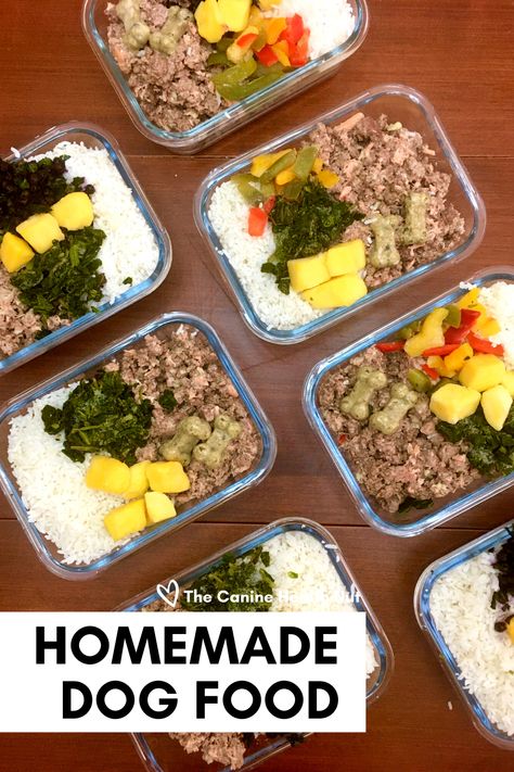 Containers full of homemade dog food recipe - containing meat, fruit, vegetables, and rice. Cooked Meals For Dogs, Healthy Meal Prep For Dogs, Meal Prep For Dog Food, Healthy Meals For Dogs, Homemade Dog Food No Chicken, Homemade Dog Food Meal Prep, Home Cooked Meals For Dogs, Pork Dog Food Recipes, Dog Food Prep