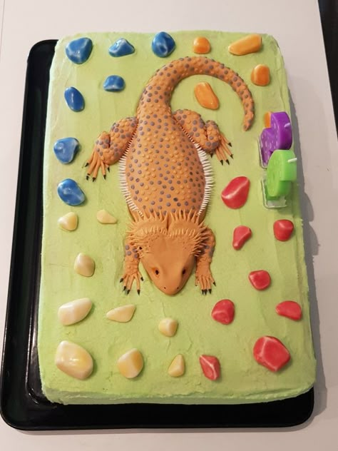 Fondant Bartagame  Bearded dragon cake Bearded Dragon Cake Ideas, Bearded Dragon Cake, Bearded Dragon Birthday Cake, Clay Bearded Dragon, Bearded Dragon Birthday, Vet Cake, Dragon Birthday Cakes, Bearded Dragon Diy, 15th Birthday Cakes