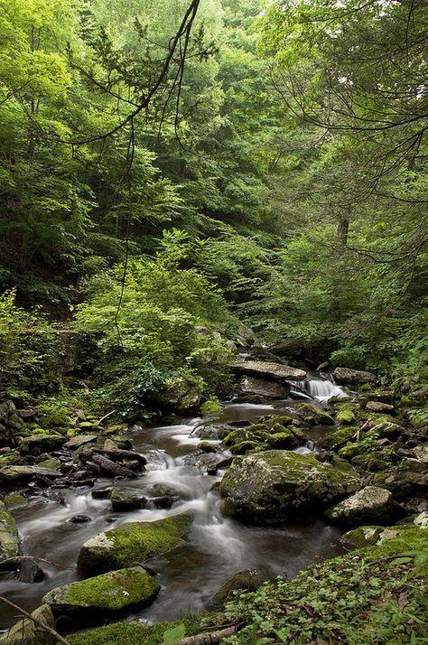 Pretty Sights, Babbling Brook, Abandoned Hospital, River Bed, Beautiful Scenery Pictures, Scenery Pictures, Large Garden, Pretty Places, Fantasy World