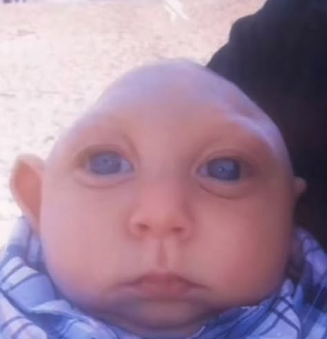 bald baby, blue eyes, funny, supposed to be random whether than real focused on. Funny Pix, Carpet Looks, Goofy Pictures, Funny Times, Very Funny Pictures, Extremely Funny Jokes, Funny Profile Pictures, Silly Pictures, Funny Reaction Pictures