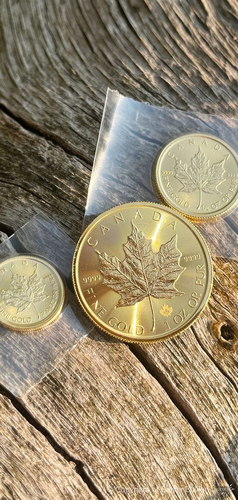 Photo of 1oz Gold UK Britannia 2021 coin, surrounded by beautiful nature. Image copyright of BleyerBullion. Leaf Symbol, Canadian Maple Leaf, Gold And Silver Coins, Canadian History, Silver Bars, Pure Gold, Gold Coins, Silver Coins, Gold And Silver