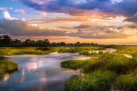 Sunset Paintings, Painting Landscapes, World Most Beautiful Place, Okavango Delta, Amazing Artists, Volcano National Park, Landscape Photography Nature, Landscape Art Painting, Artistic Images