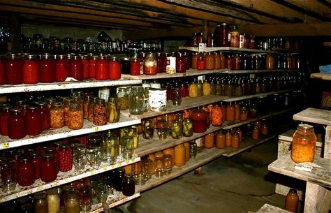 Amish homes, and Old Order Mennonite homes like this one belonging to some friends of ours in Kentucky, have a cellar full of canned goods from their summer gardens. They will can just about anything from fruit to hamburger. Homestead Pantry, Food Storage Rooms, Amish House, Amish Culture, Emergency Food Storage, Canned Food Storage, Root Cellar, Amish Recipes, Home Canning